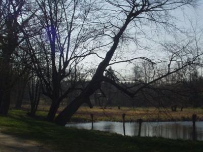 Bild: Schlossteich