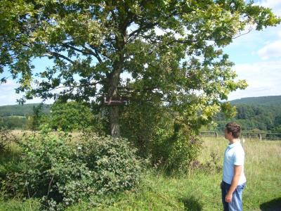 Bild: Beginn des Rundwanderweges