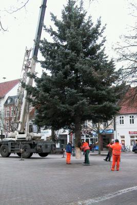Foto des Albums: Aufstellen des Weihnatsbaumes auf dem Wittstocker Markt 2010 (01.12.2010)