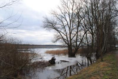 Foto des Albums: Hochwasser an Beetzsee und Havel (22.01.2011)