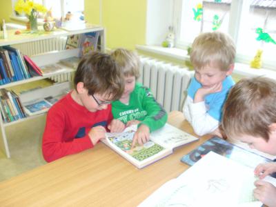 Bild der Galerie