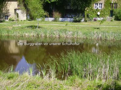Foto des Albums: Grüne Grundschule im Monat Mai (05.05.2011)