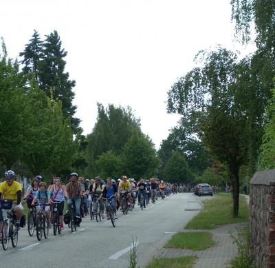 Foto des Albums: Tour de Prignitz 2011 - 2. Etappe / Frehne (24. 05. 2011)