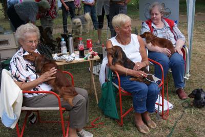 Foto des Albums: 15. Tierparkfest in Dahme/Mark und Landesschau des Deutschen Teckelklubs 1888 e.V. (12.06.2011)