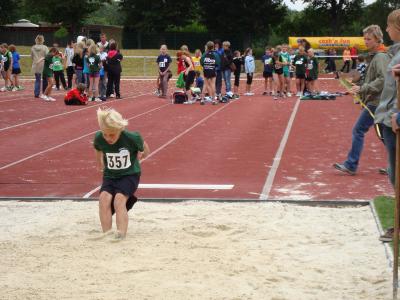 Foto des Albums: Landkreispokalwettkämpfe (25.06.2011)