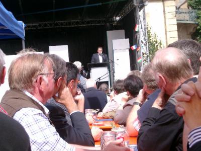 Foto des Albums: Dohnaer Sportpokal zu Gast in der Partnerstadt Eppingen (26.07.2011)