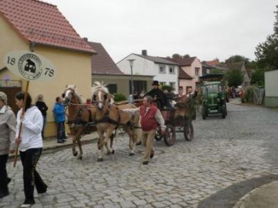 Foto des Albums: Der große Festumzug zur 1050-Jahrfeier OT Hoym