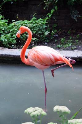 Foto des Albums: HK-Fahrt in den Leipziger Zoo (27. 08. 2011)