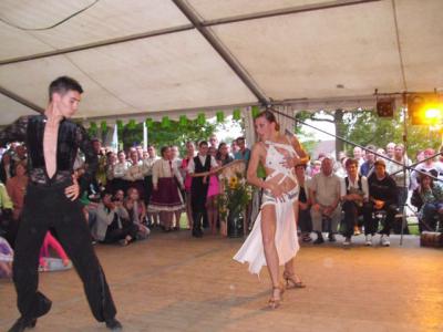 Bild : mitreißende ungarische Tänzer