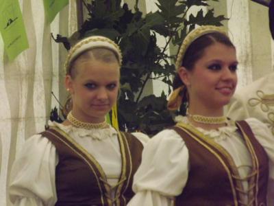 Bild : typische ungarische Tänze der Gäste