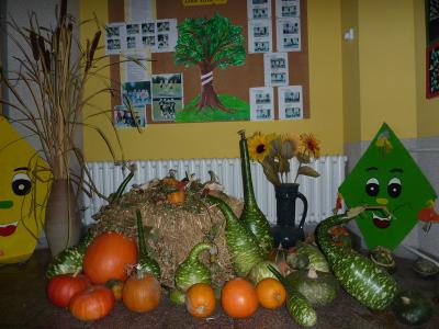Bild: Fruchtiger Start in den Herbst