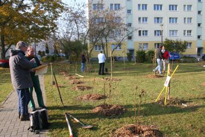 Foto des Albums: Bäume pflanzen als CO2 Speicher (29. 10. 2011)