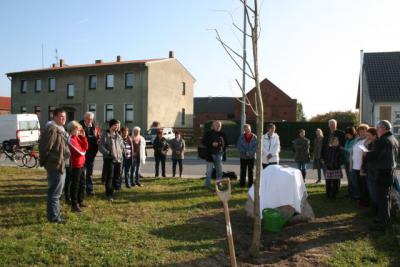 Foto des Albums: Gedenkstein und Linde für Mützlitz (29. 10. 2011)