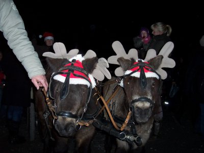 Die gräfliche Kutsche  (Bild vergrößern)