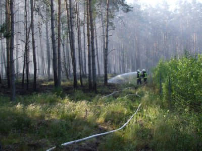 Foto des Albums: Einsätze und Ausbildung 2012 (01. 01. 2012)