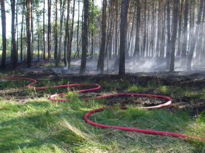 Foto des Albums: Einsätze und Ausbildung 2012 (01. 01. 2012)