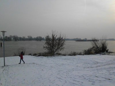 Foto des Albums: Der Winter ist da (29. 01. 2012)