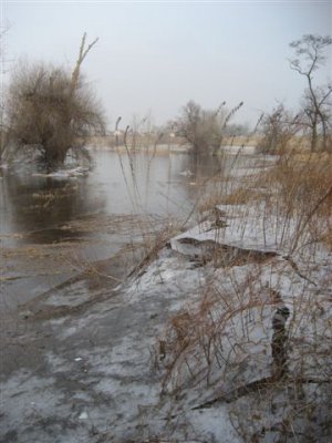 Foto des Albums: Winterliches Mühlberg