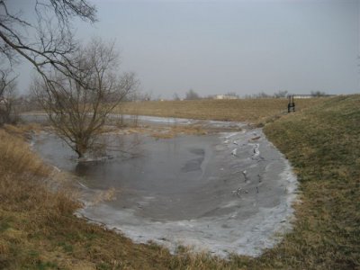 Foto des Albums: Winterliches Mühlberg