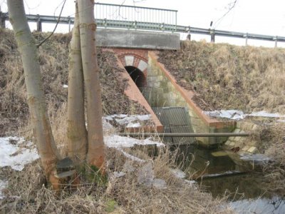 Foto des Albums: Winterliches Mühlberg