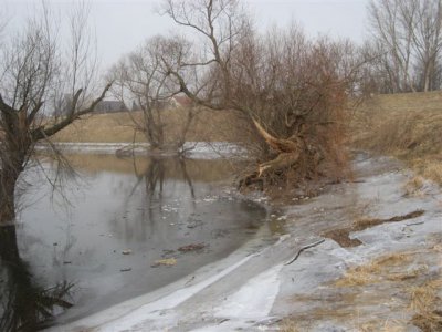 Foto des Albums: Winterliches Mühlberg