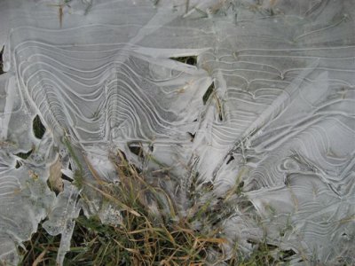 Foto des Albums: Winterliches Mühlberg