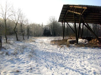 Foto des Albums: Winter in Schönhagen  ( 2012 )