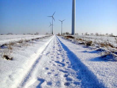 Foto des Albums: Winter in Schönhagen  ( 2012 )
