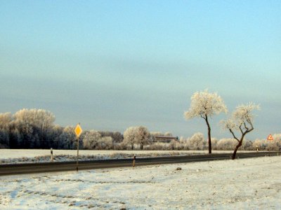 Foto des Albums: Winter in Schönhagen  ( 2012 )