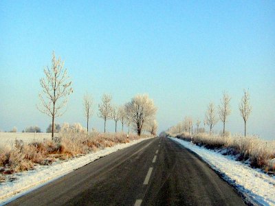 Foto des Albums: Winter in Schönhagen  ( 2012 )