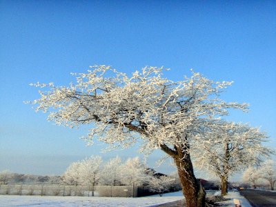 Foto des Albums: Winter in Schönhagen  ( 2012 )