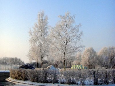 Foto des Albums: Winter in Schönhagen  ( 2012 )