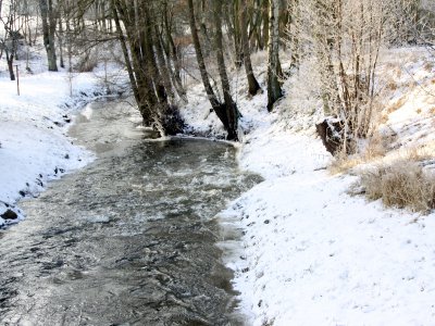 Foto des Albums: Winter in Schönhagen  ( 2012 )