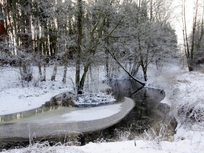 Foto des Albums: Winter in Schönhagen  ( 2012 )