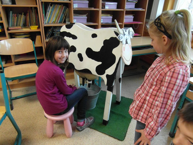 Bild: Jeder darf mal melken