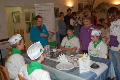 Foto des Albums: Regionalfinale um den Erdgaspokal in Nauen