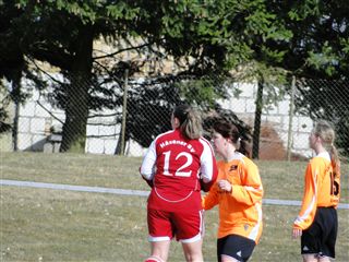 Foto des Albums: HSV-Grüneberg