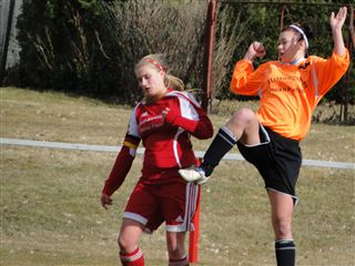 Foto des Albums: HSV-Grüneberg