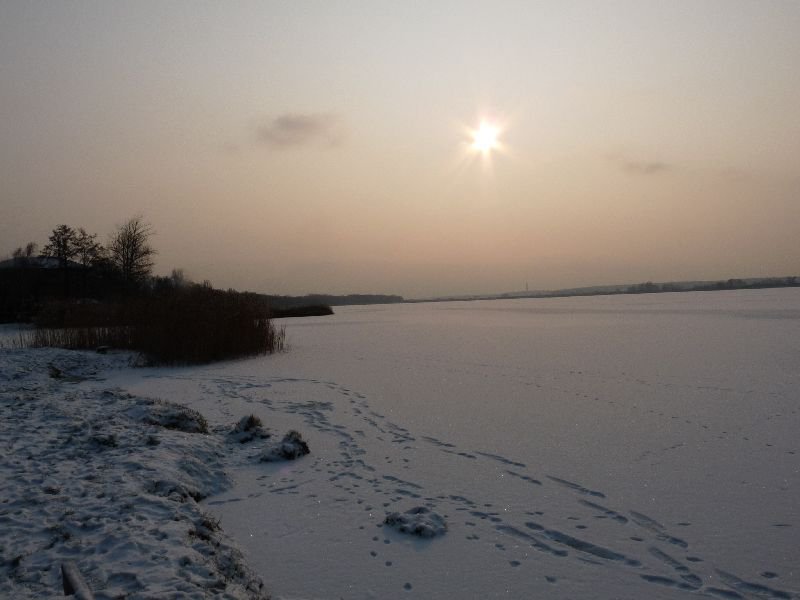 Bild: © Foto: S. Jüngst