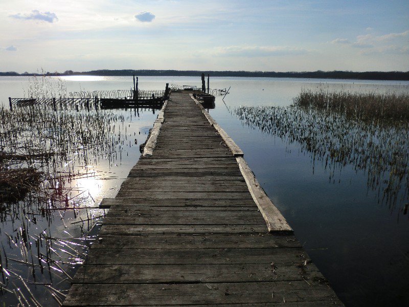 Bild: © Foto: K. Schulze