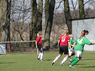 Foto des Albums: HSV - Borgsdorf