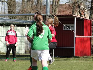 Foto des Albums: HSV - Borgsdorf