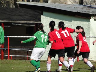 Foto des Albums: HSV - Borgsdorf