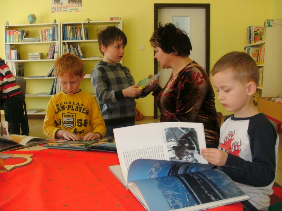 Bild der Galerie