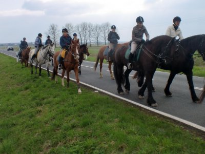 Foto des Albums: Wanderritt nach Damme (06.04.2012)