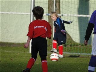 Foto des Albums: HSV Minis gegen Altlüdersdorf