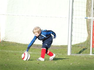 Foto des Albums: HSV Minis gegen Altlüdersdorf