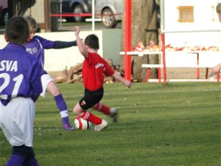 Foto des Albums: HSV Minis gegen Altlüdersdorf