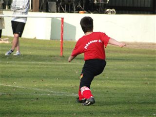 Foto des Albums: HSV Minis gegen Altlüdersdorf