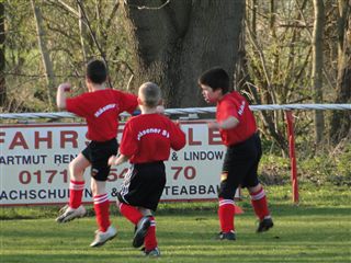 Foto des Albums: HSV Minis gegen Altlüdersdorf